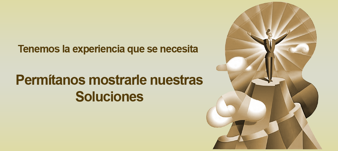 VP Merchant Template